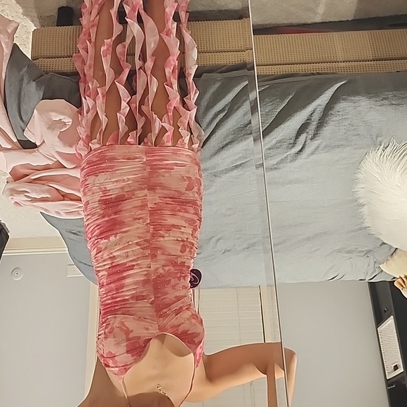 Homecoming dressfrom windsor pink size small - Picture 7 of 8